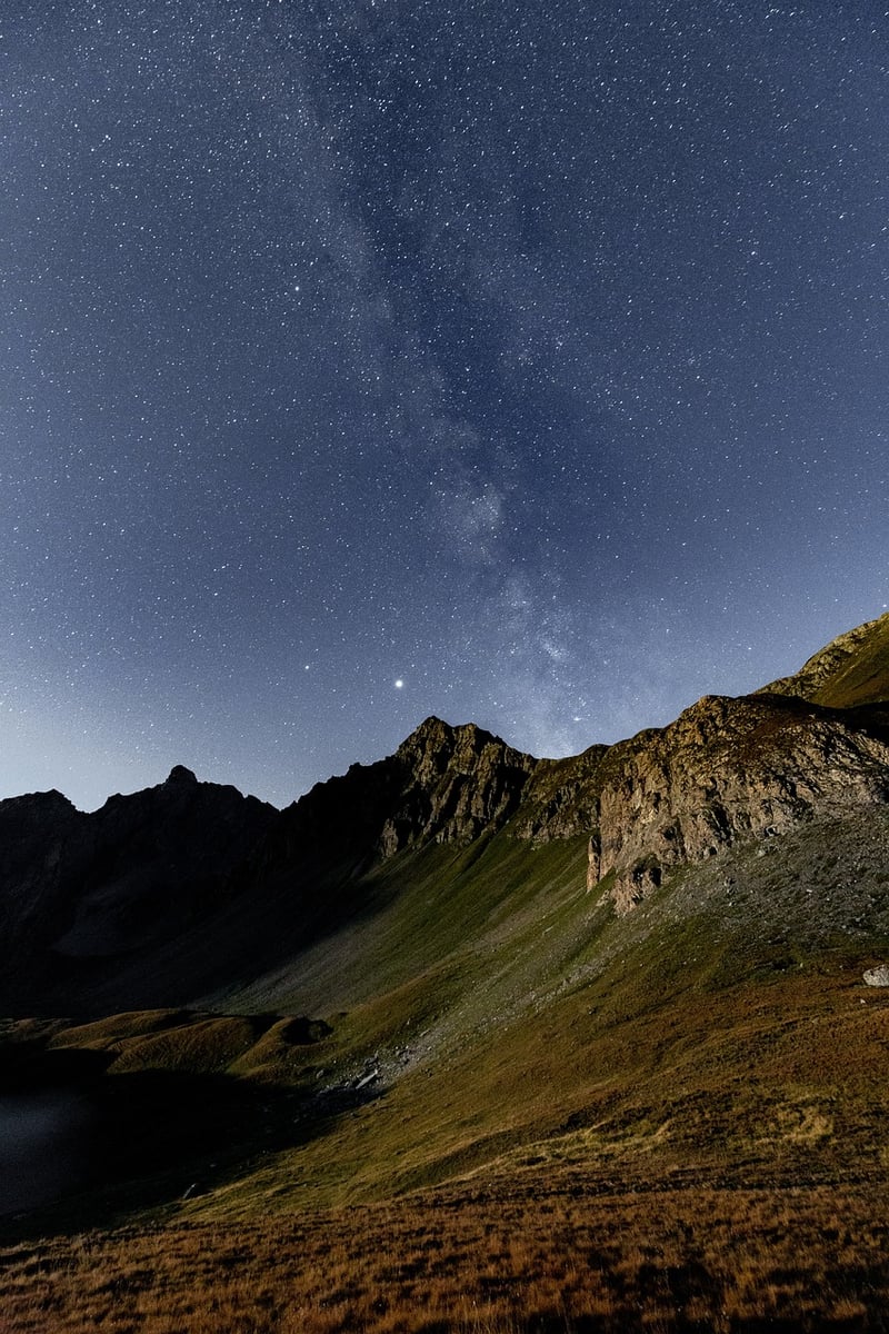 Starry Sky in the Forest